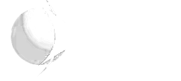 Npg White Logo E