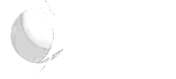 Npg White Logo No Title Underneath