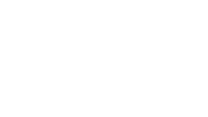 Panasonic Partner Logo White
